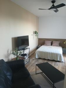 Appartements 1Centre ville avec parking : Appartement 1 Chambre