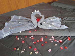 Mâys garden camping