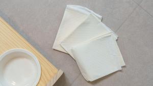 gyeongsan stage-ipple pet pension