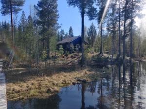 Idyllic cabin, Nestled in a peaceful forest