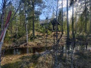 Idyllic cabin, Nestled in a peaceful forest
