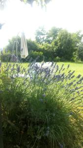 Il Fienile Di Penelope