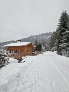 Appartements Alpine 1 bed Chalet with beautiful views : photos des chambres
