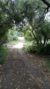 Honey Nest Camp - Suikerbostuin