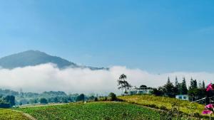 วงศ์จันทร์กลางหมอก รีสอร์ท เขาค้อ