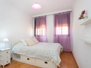 EK Candelaria House Estrelitzia