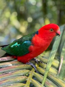 Palm Beach Bed & Breakfast