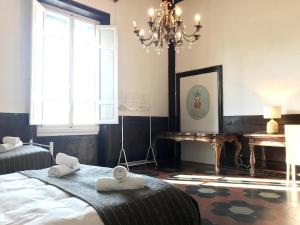 Palace Top Lovely city view and private parking