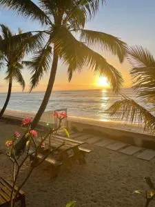 Petite Tortue - 圣吉尔莱班