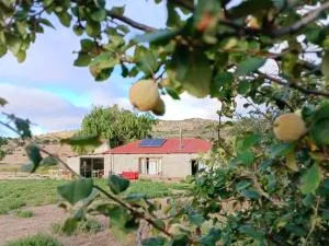 Rooidak - Soebatsfontein