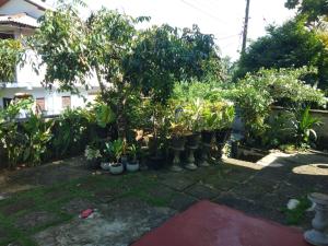NIMSARA VILLA AND HoUSE