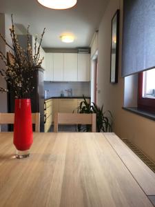 Apartment Happy Place