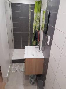 COCON du centre ville avec PARKING et WIFI