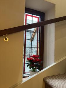 Courtyard Loft Armagh City