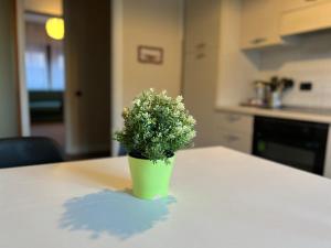 Kibilù - Elegant City-Center Apartment Near Hospitals Fast Wi-Fi