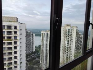 Forestcity40