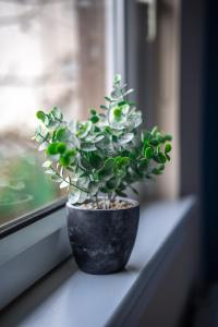 2 BDR Apt At Caledonia Luxe Stays Short Lets & Serviced Accommodation Glasgow