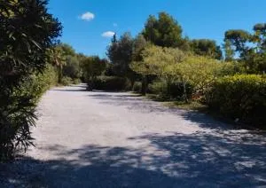 Vasandries - Ольюль