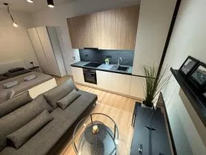 Karolinska Apartment City Center - Slezská Ostrava