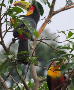 Reserva Mauá chalés