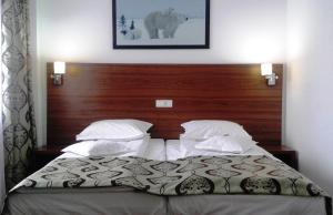 Double Room room in Hotel Orhideea