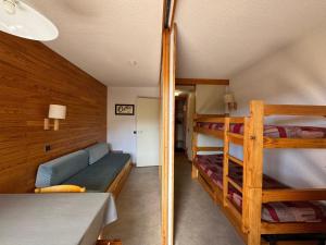 Studio pratique 34 pers, pied des pistes, animaux admis - FR-1-181-2276