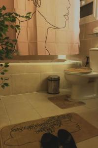 Lovely new apartment Zamalek