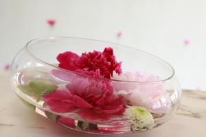 Hotels Hotel Le Roosevelt : photos des chambres