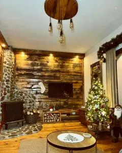 Vila Tornik 3 - Tornik