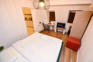 Standard Studio room in Bucharest Nightlife Apartments