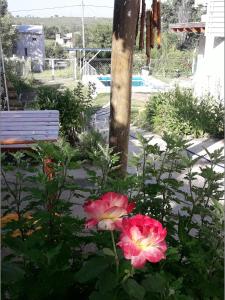 La Santa Cabaña - Cordoba