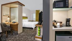 King Studio with Sofa Bed room in SpringHill Suites by Marriott San Antonio SeaWorld®/Lackland