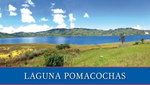 Vaquitas Pintaditas, Pomacochas