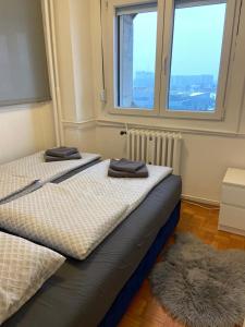 3-rooms Arena apartment