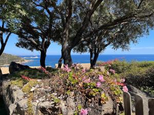 Villa Acquamarina a 2 passi dal mare img5