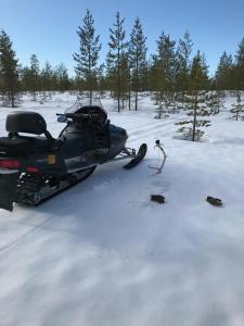 Arctic Holiday Suite