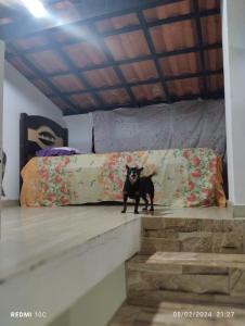 Cantinho da Dete KIT NET