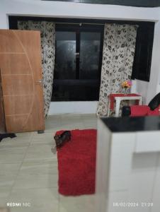 Cantinho da Dete KIT NET