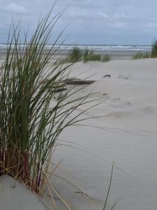 Stacaravan Duingras Ameland