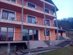 Pensiunea Jazmin Covasna - 布泽乌河畔恩托尔苏拉