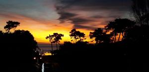 Appartements Studio La Charentaise - Logement de vacances 2 personnes vue mer : photos des chambres