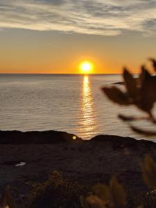 Appartements Studio La Charentaise - Logement de vacances 2 personnes vue mer : photos des chambres