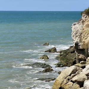 Appartements Studio La Charentaise - Logement de vacances 2 personnes vue mer : photos des chambres