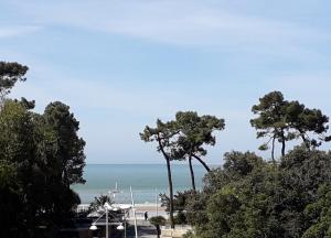 Appartements Studio La Charentaise - Logement de vacances 2 personnes vue mer : photos des chambres