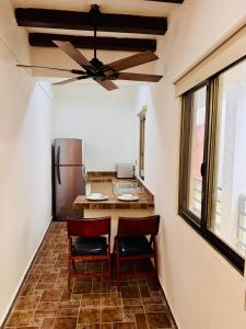 Flat in the middle of Holbox