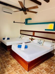 Flat in the middle of Holbox