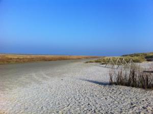 Dune Bep