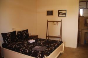 Raphy Home