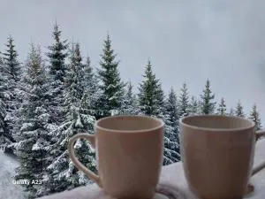 Kovacevic Apartmani - Raška