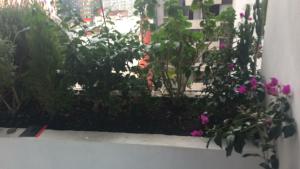 apartement prive mexico city reforma angel very central londres 219